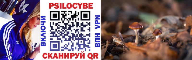 Галлюциногенные грибы Psilocybine cubensis  Кочубеевское 