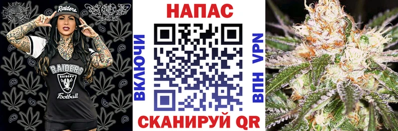 omg онион  Кочубеевское  Шишки марихуана конопля  дарнет шоп 